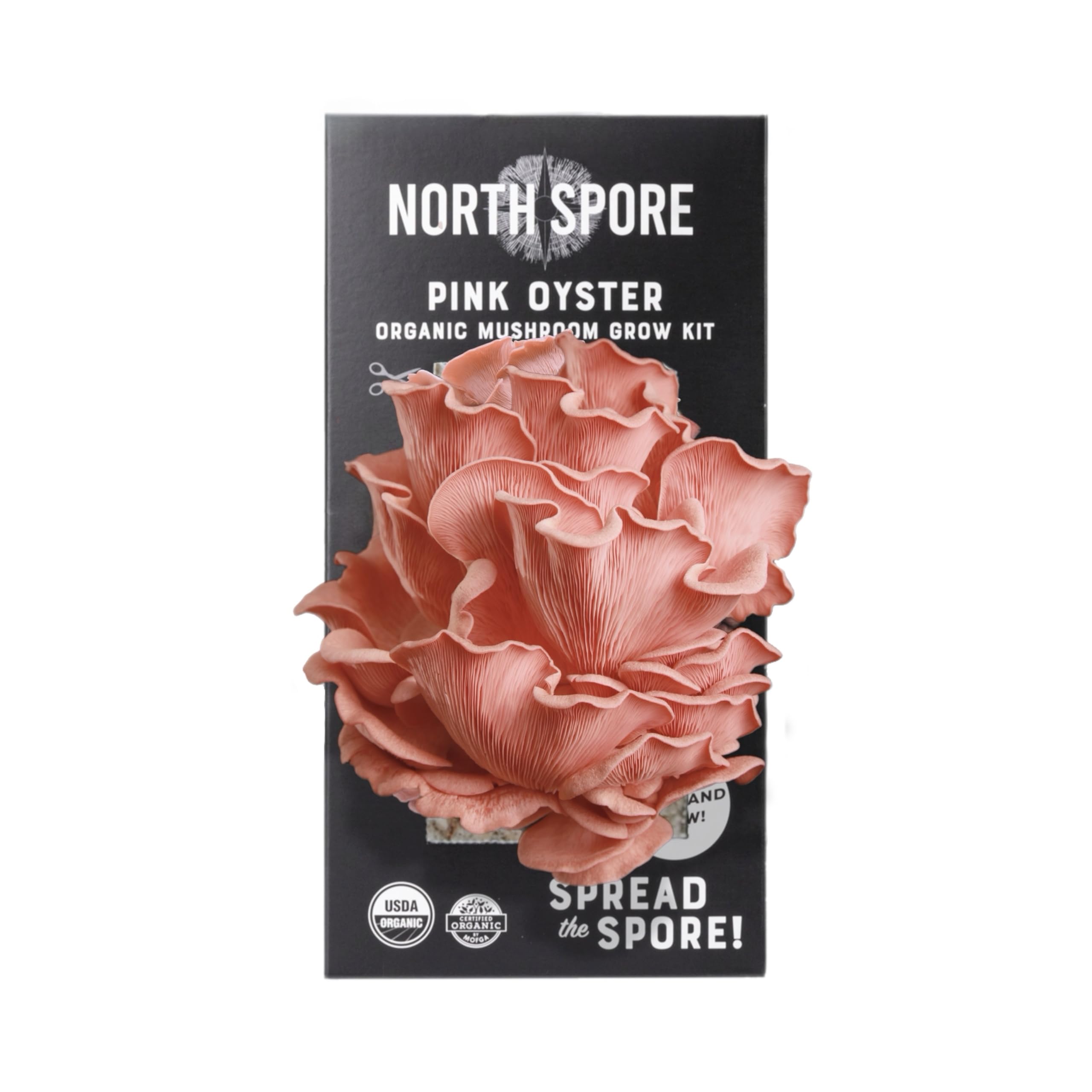 North Spore vista frontal del kit listo para cultivar y fácil de usar
