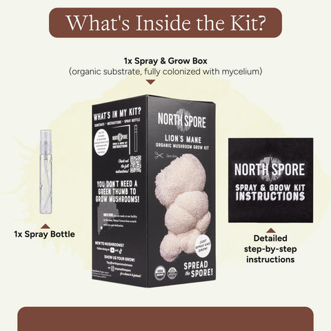 North Spore bolsa con corte en X, demuestra cómo activar el kit