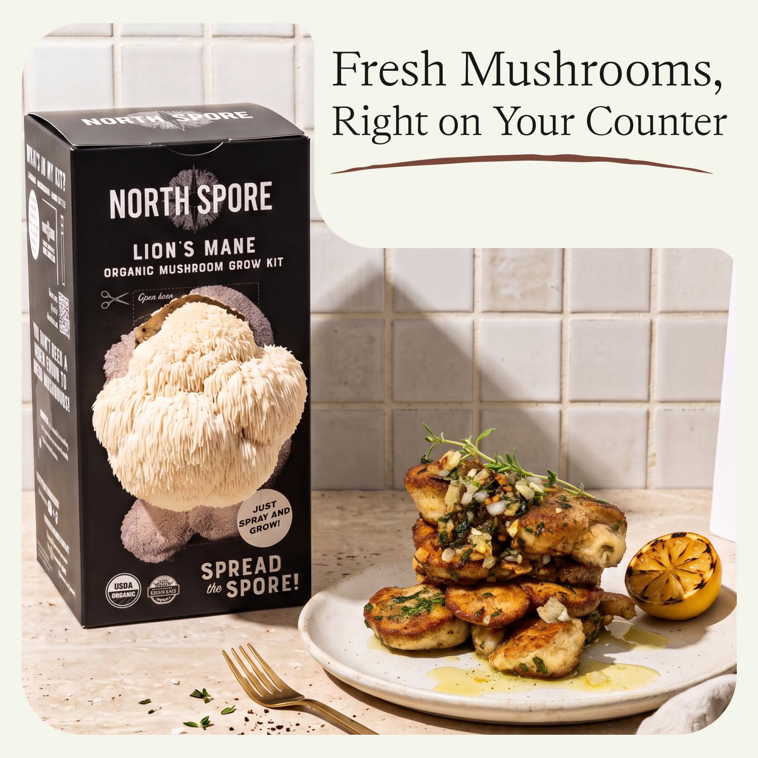 North Spore kit en estantería de casa, ideal para cultivo indoor