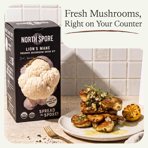 North Spore kit en estantería de casa, ideal para cultivo indoor