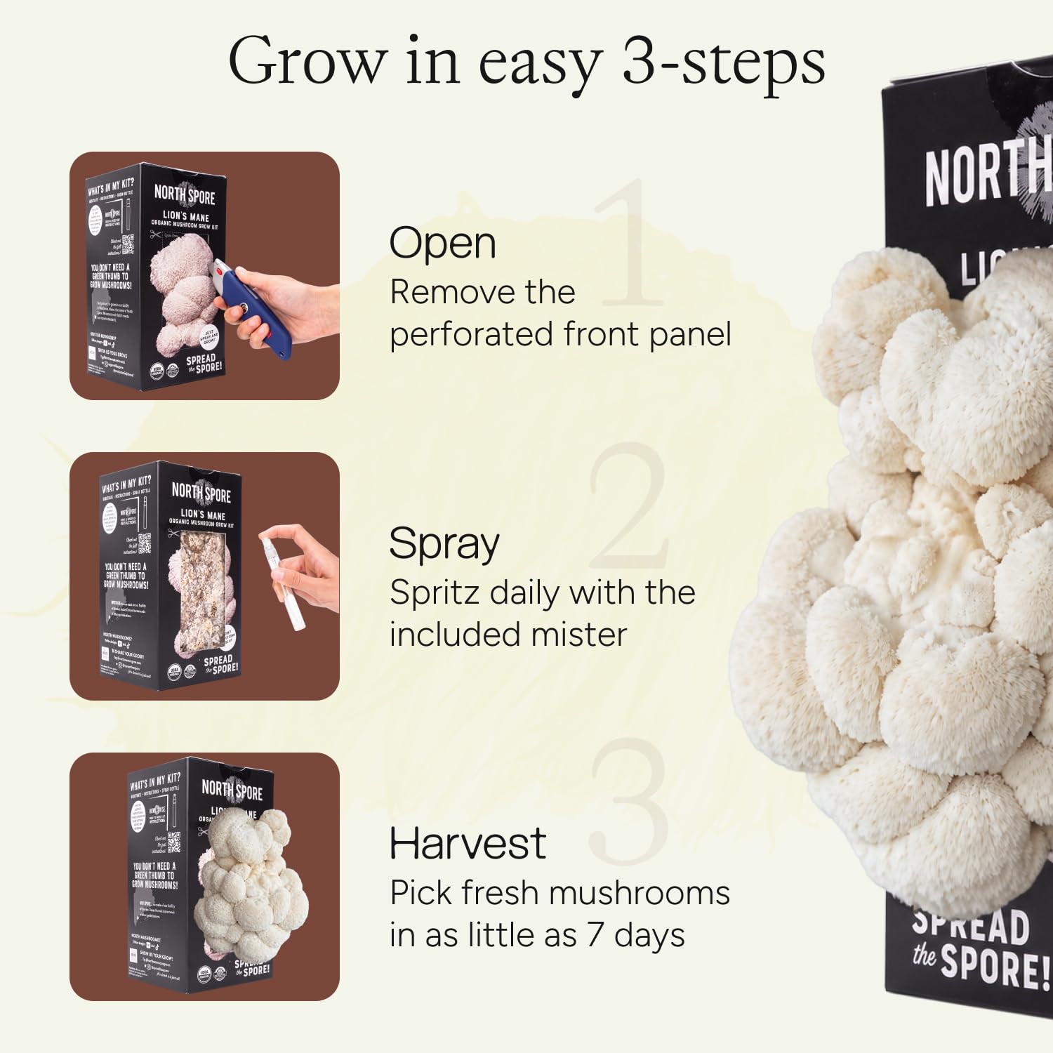 North Spore kit en uso sobre encimera, facilita cultivo casero