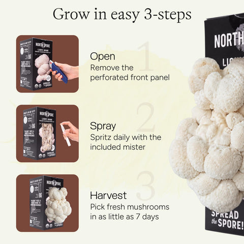 North Spore kit en uso sobre encimera, facilita cultivo casero
