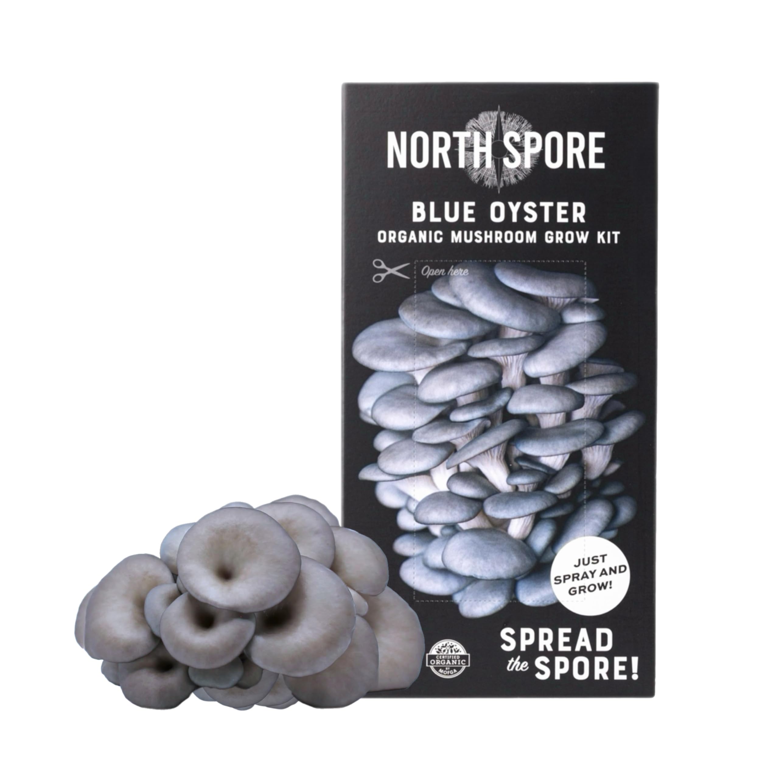 North Spore detalle del sustrato orgánico, indica calidad artesanal