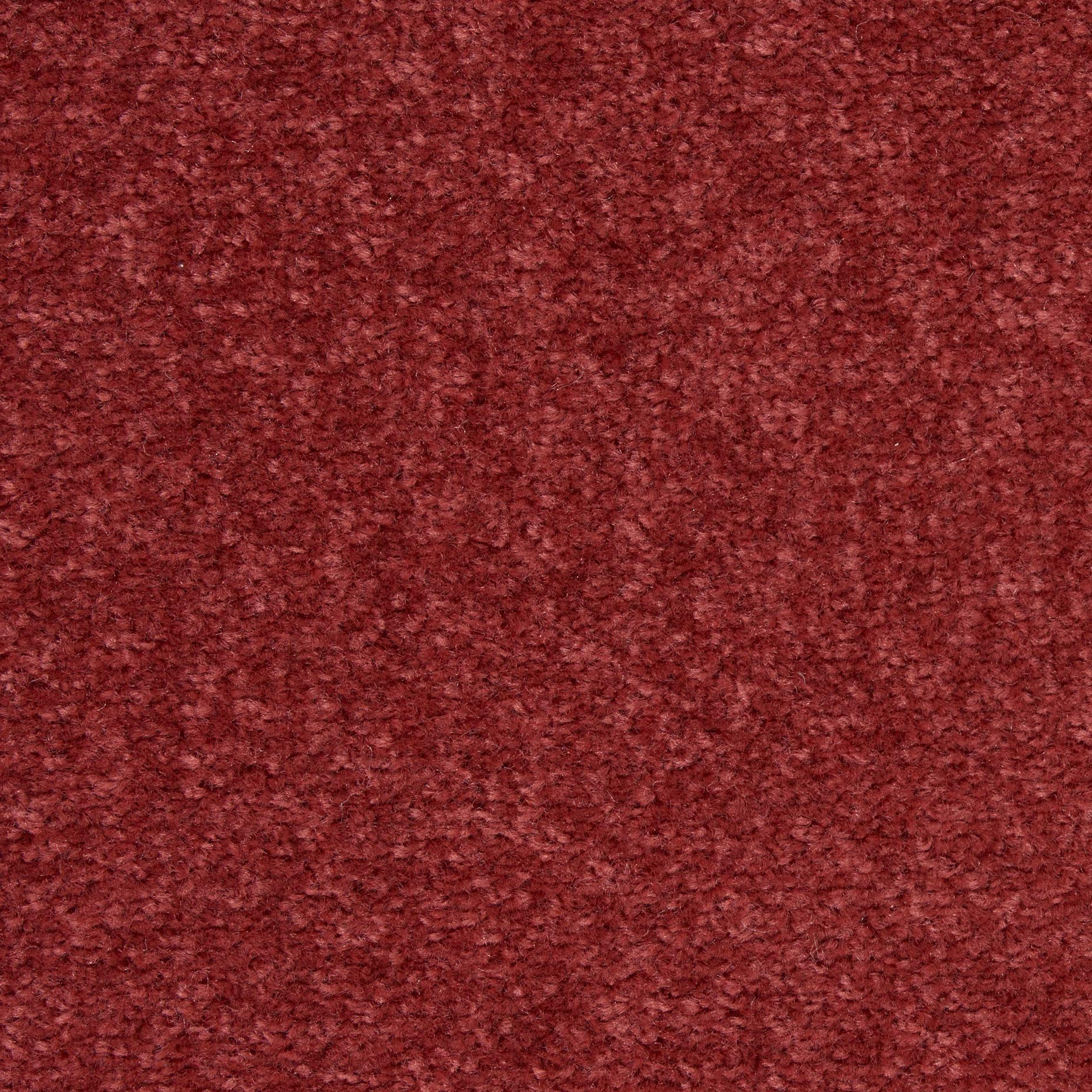 Nourison alfombra 2'x4' junto a objetos para comparar tamaño y ubicación ideal