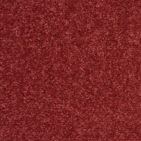 Nourison alfombra 2'x4' junto a objetos para comparar tamaño y ubicación ideal