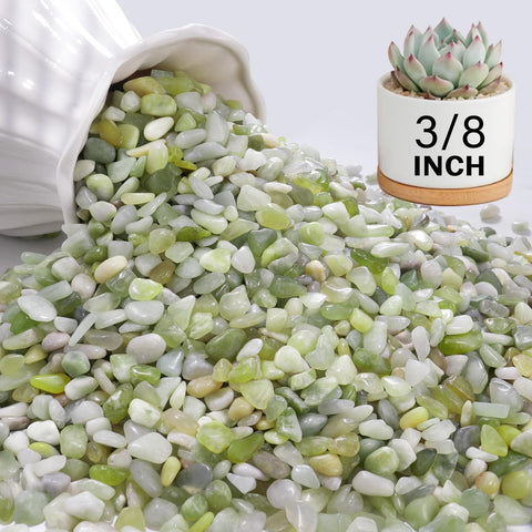 NUPICK bolsa frontal mostrando 12 libras y beneficio estético
