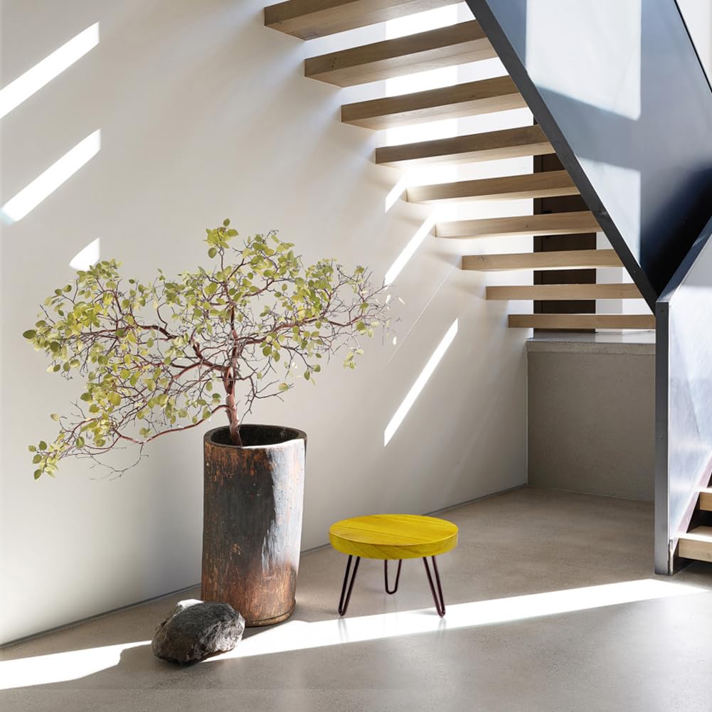 OBTAIN planta sobre soporte en salón creando ambiente decorativo