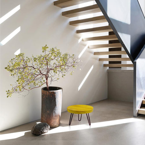 OBTAIN planta sobre soporte en salón creando ambiente decorativo