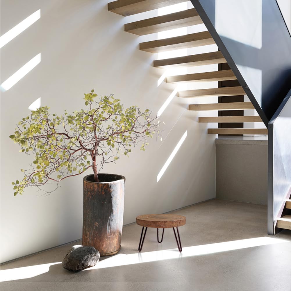 OBTAIN soporte en salón con maceta grande mejorando decoración