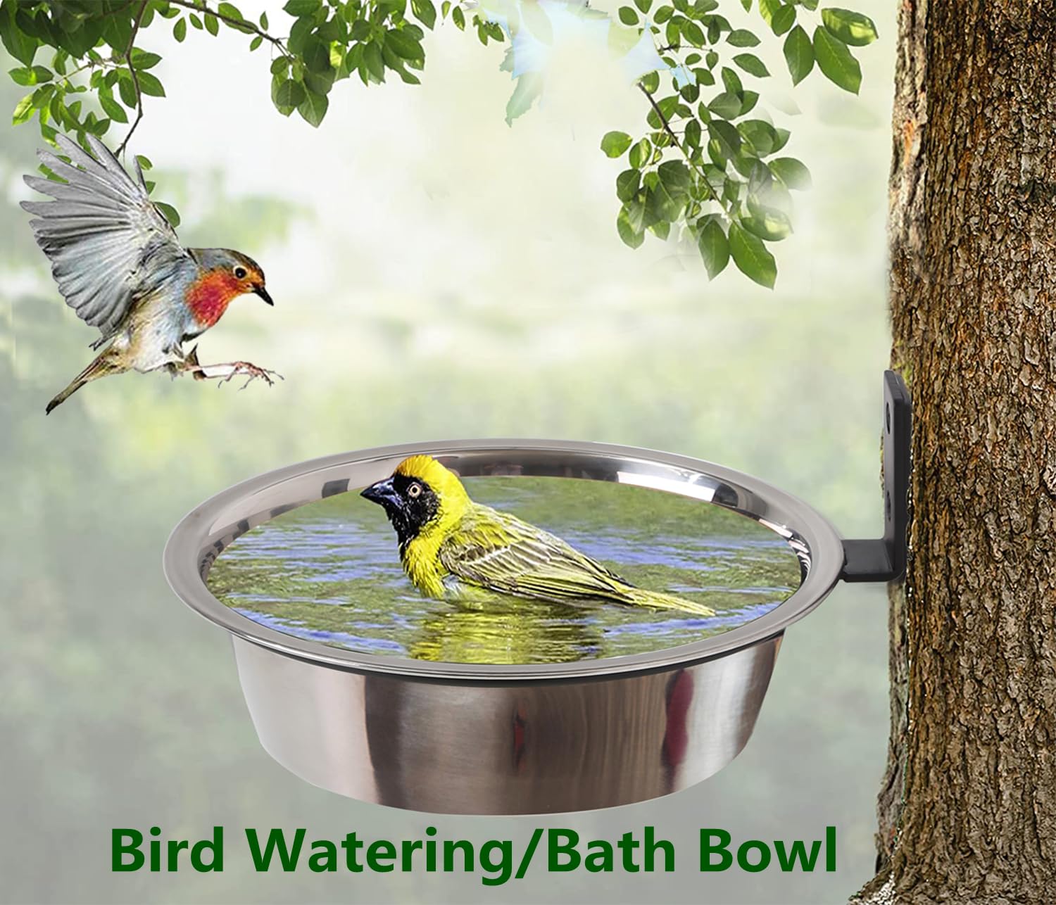 Ofasixx comedero junto a regla para comparar tamaño y capacidad práctica