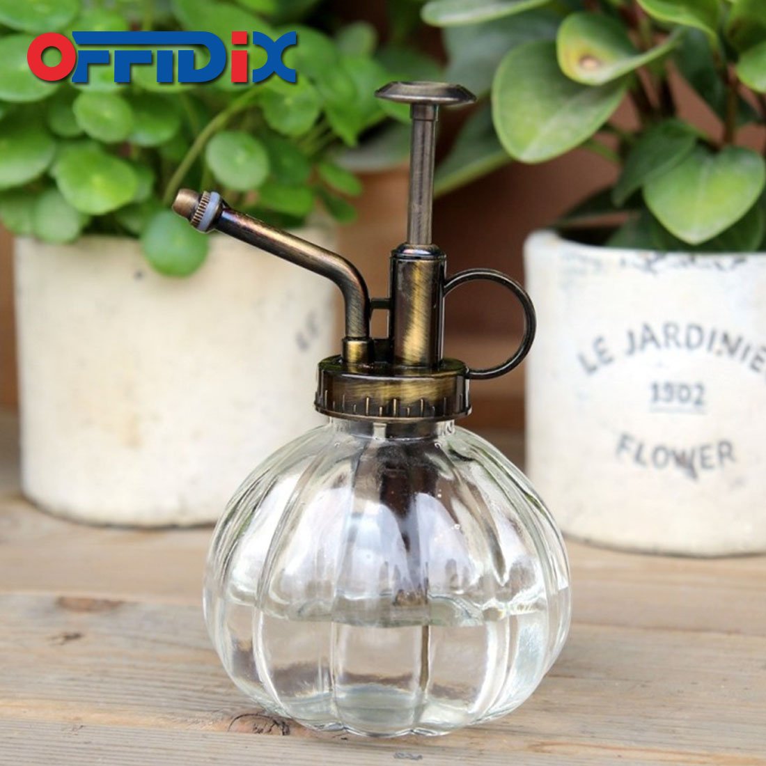 OFFIDIX pulverizando una suculenta con bruma fina que protege las hojas