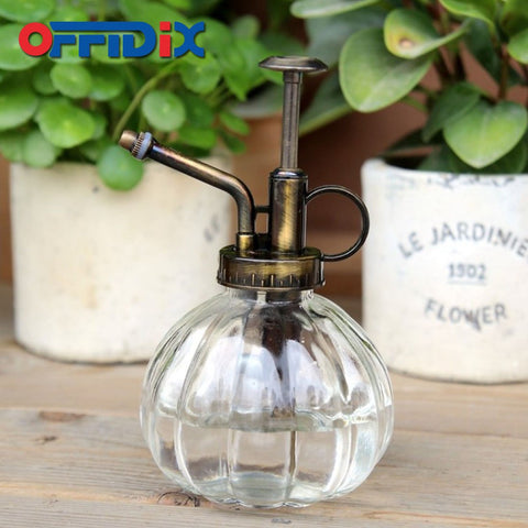 OFFIDIX pulverizando una suculenta con bruma fina que protege las hojas