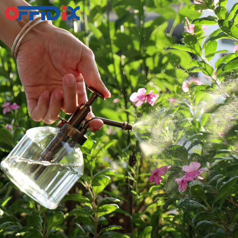 OFFIDIX botella como objeto decorativo en estantería, combina con interiores