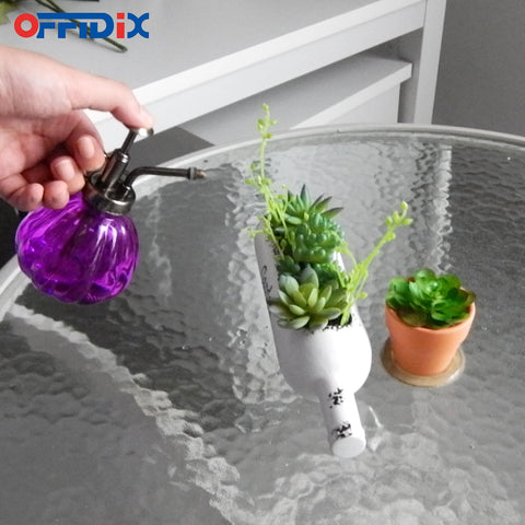OFFIDIX rociando suculentas con bruma suave para hidratación foliar
