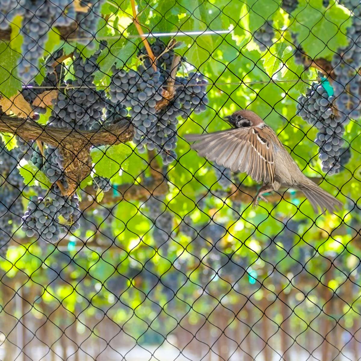 OGORI malla en uso cubriendo árbol frutal para evitar aves y plagas