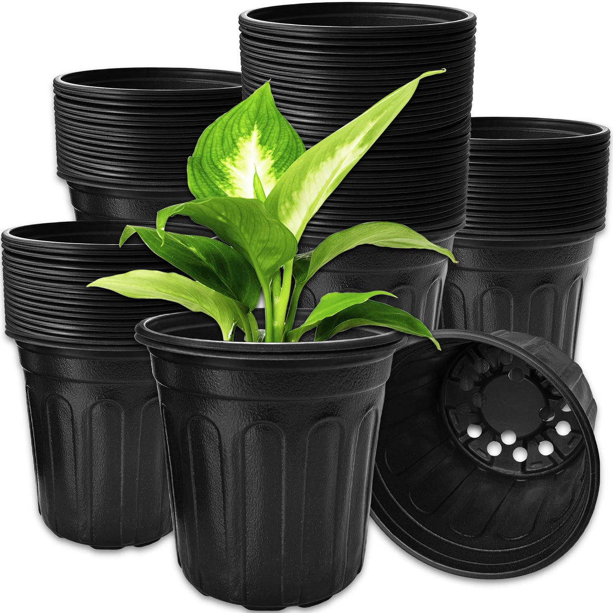 OJYUDD maceta de vivero frontal mostrando forma y acabado negro, ideal para cultivo