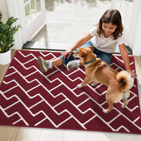 OLANLY felpudo con mascota reduce suciedad dentro del hogar