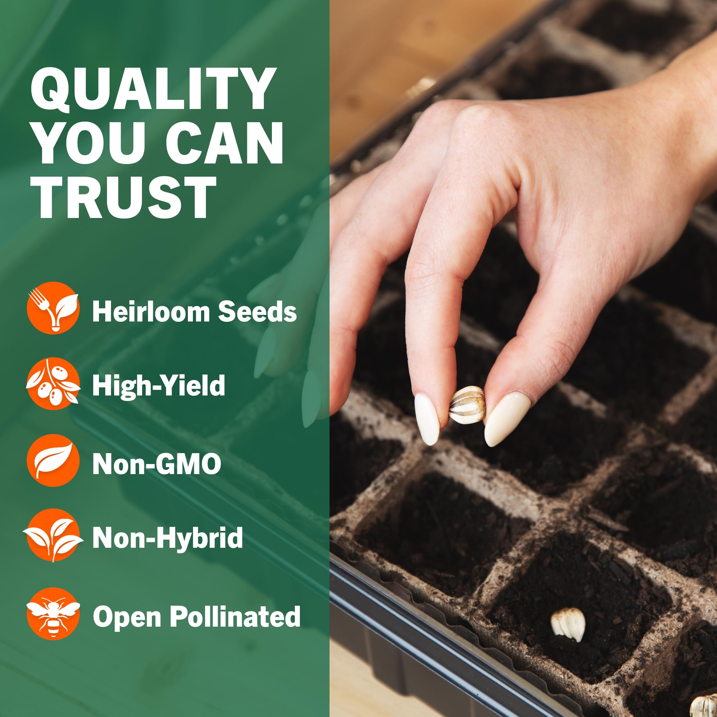 Open Seed Vault guía de cultivo abierta proporciona instrucciones claras