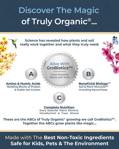 Organic Plant Magic aplicación en macetas con regadera para crecimiento visible