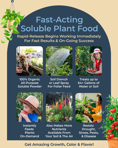 Organic Plant Magic raíces fuertes y sanas comparadas, mejora absorción