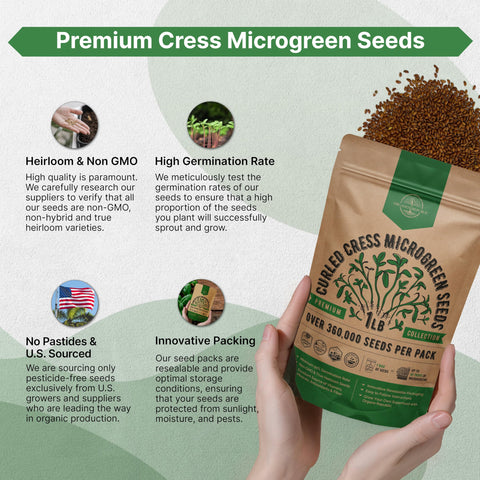 Organo Republic microgreens en ensalada añadiendo frescura y sabor