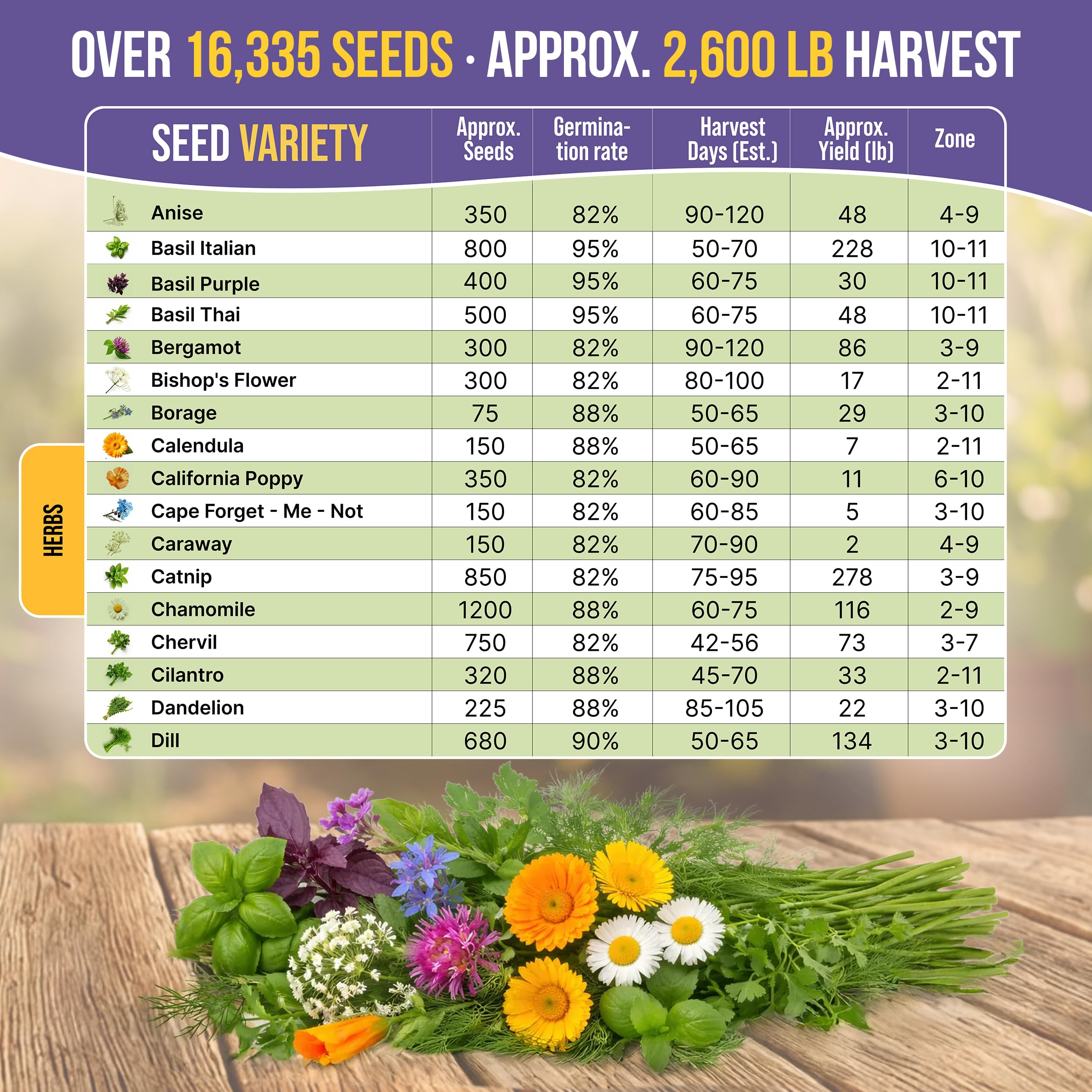 Organo Republic macetas interiores con brotes, beneficio de cultivo en casa