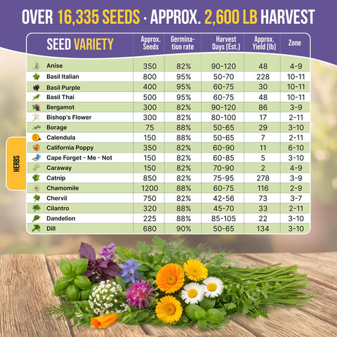 Organo Republic macetas interiores con brotes, beneficio de cultivo en casa