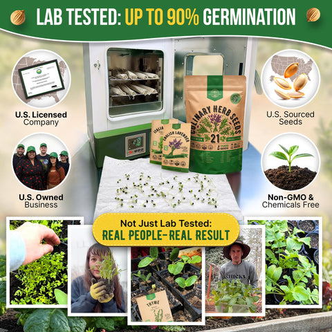 Organo Republic primer plano de semillas variadas para fácil identificación y calidad