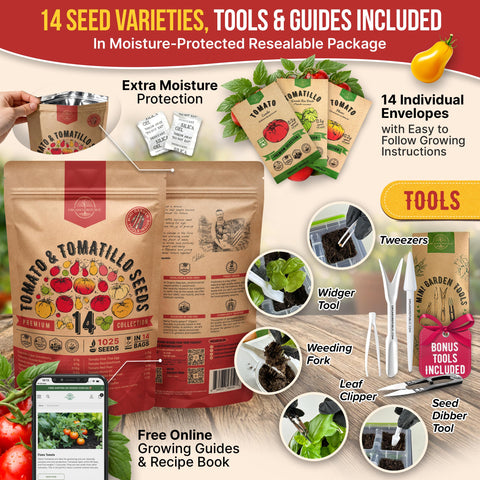 Organo Republic close-up de semillas de tomate y tomatillo mostrando textura y calidad NO‑GMO