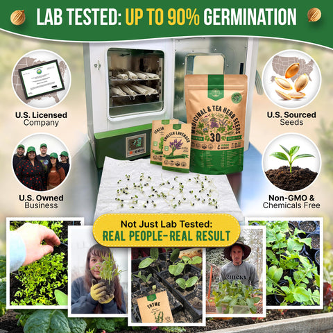 Organo Republic close-up de sobres individuales con códigos QR y variedad etiquetada