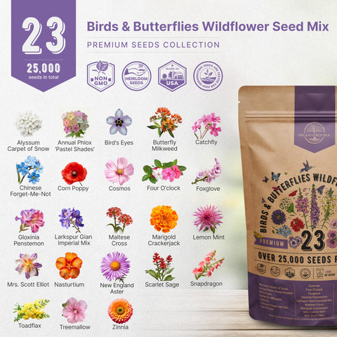 Organo Republic parterre con flores silvestres, atrae mariposas y aves