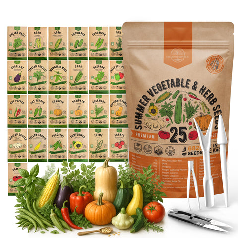 Organo Republic empaque frontal del kit con 25 sobres, organización práctica