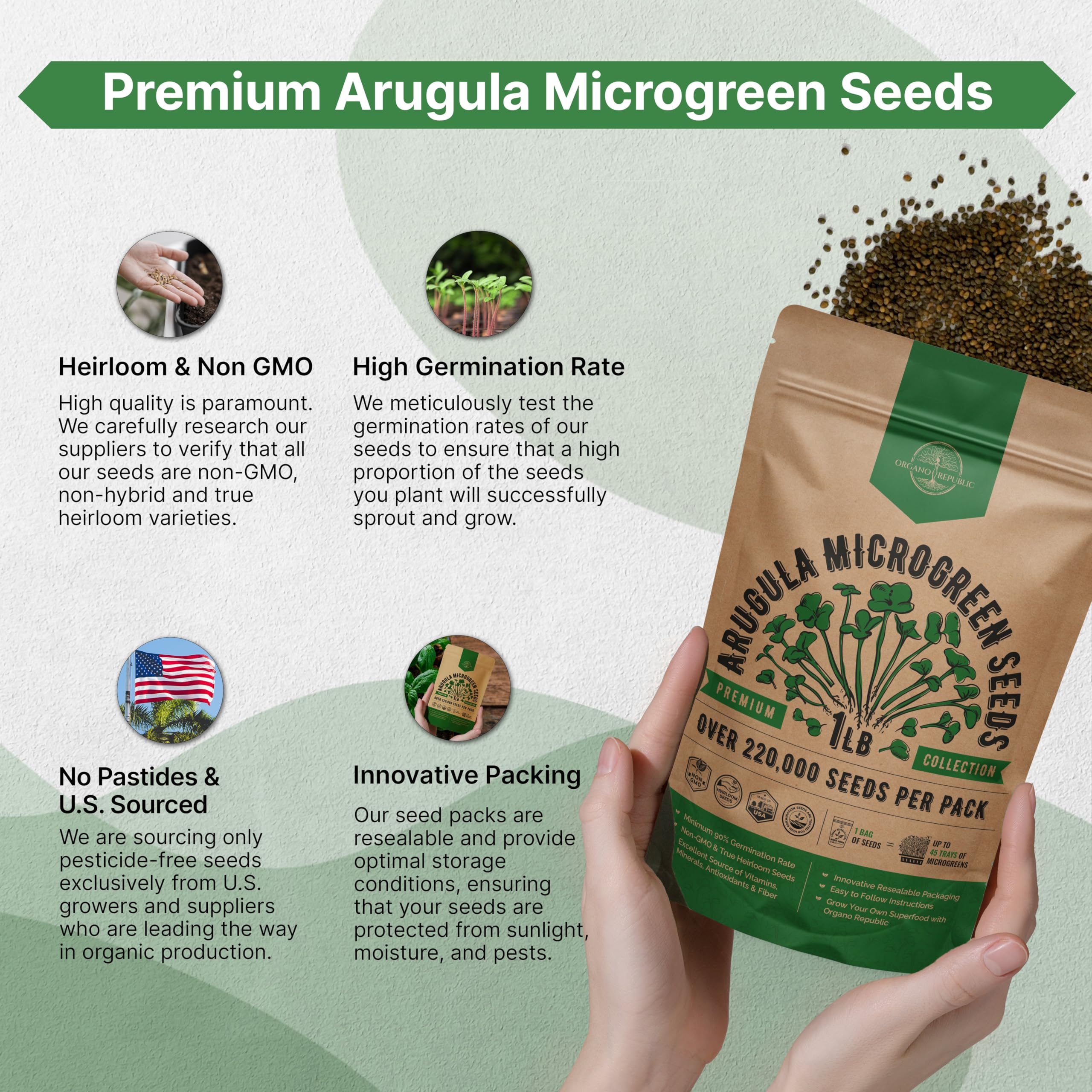 Organo Republic microgreens de rúcula en plato listo para consumo y sabor fresco