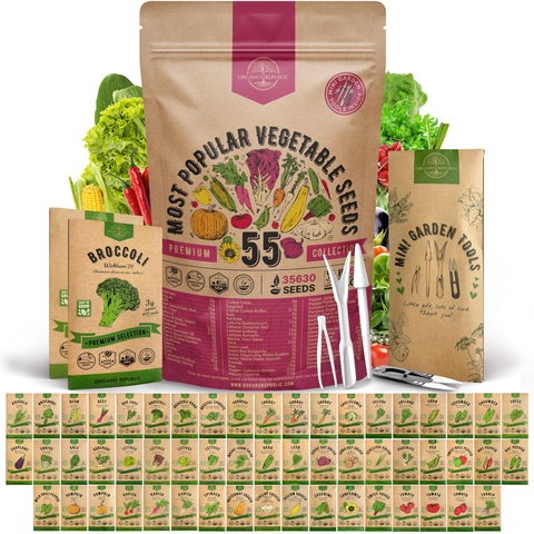 Organo Republic vista frontal del pack con sobres, muestra organización y variedad