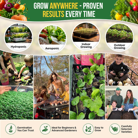 Organo Republic macetas con verduras crecidas, demuestra cultivo en espacios pequeños