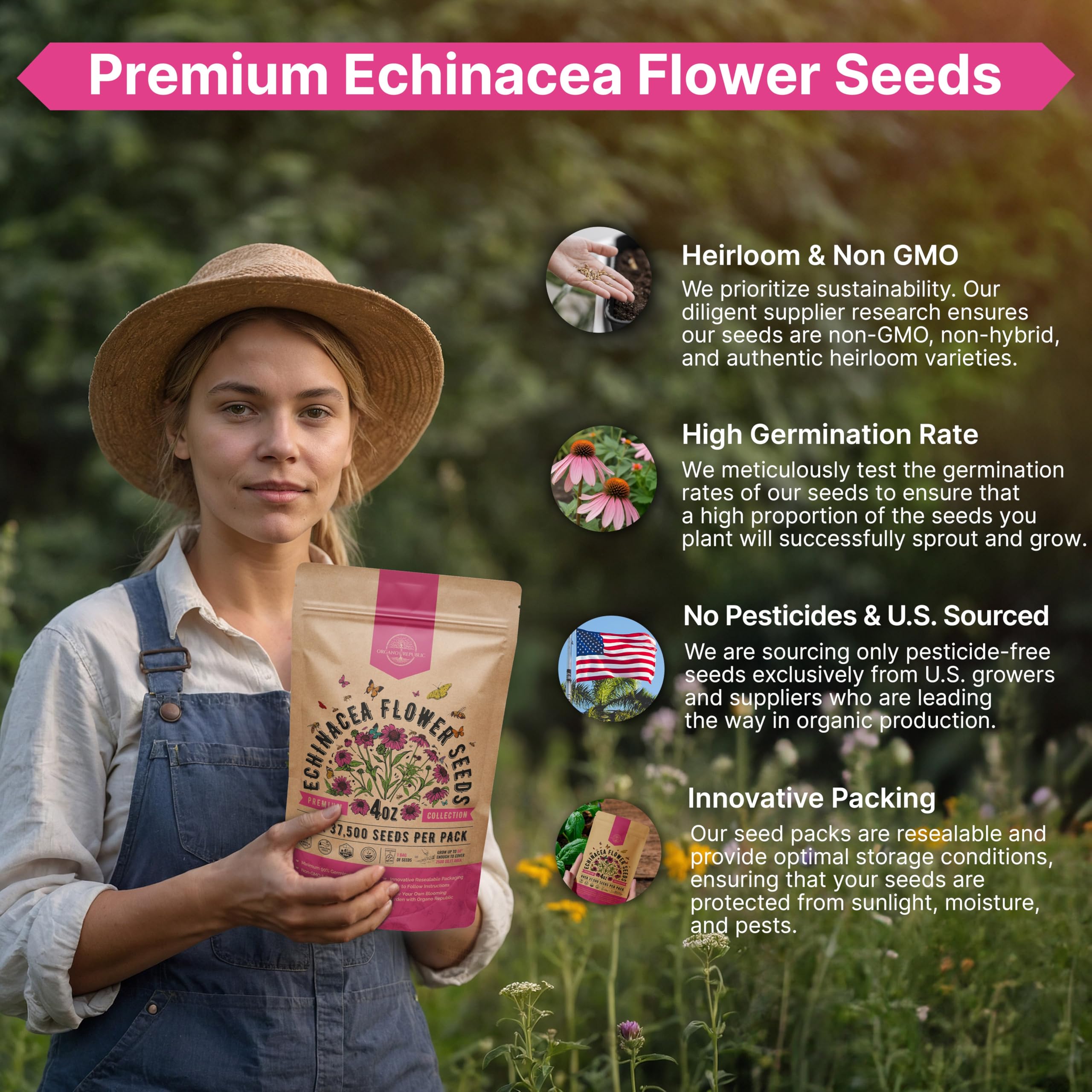 Organo Republic plantas de equinácea florecidas en jardín como referencia