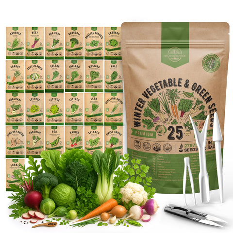 Organo Republic vista frontal del pack con bolsa resellable, facilita almacenamiento