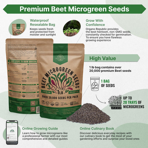 Organo Republic primer plano de semillas heirloom muestra calidad
