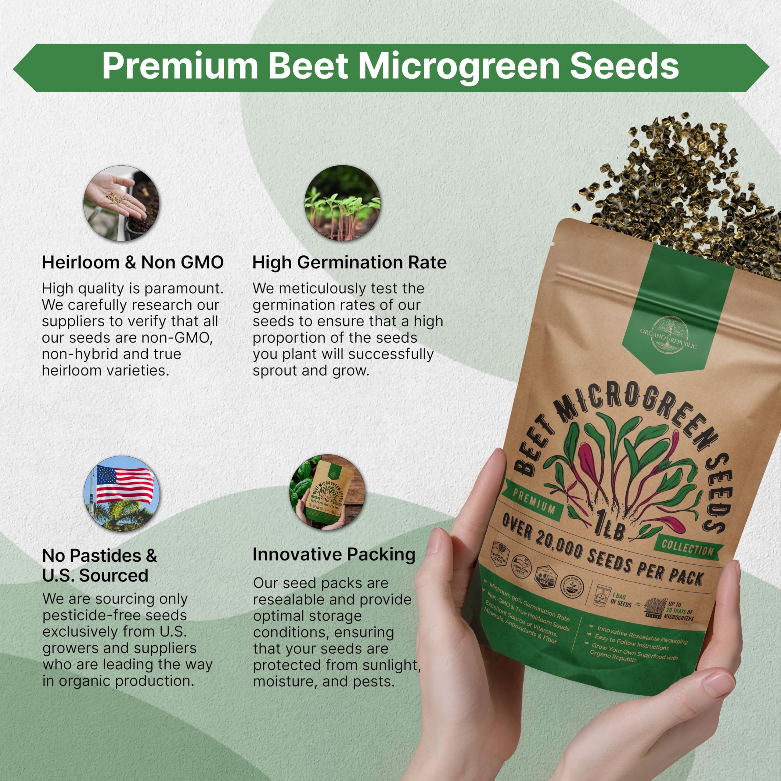 Organo Republic microgreens de remolacha en cocina aportan color y sabor