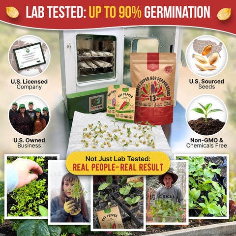 Organo Republic detalle de semillas para comprobar calidad y textura
