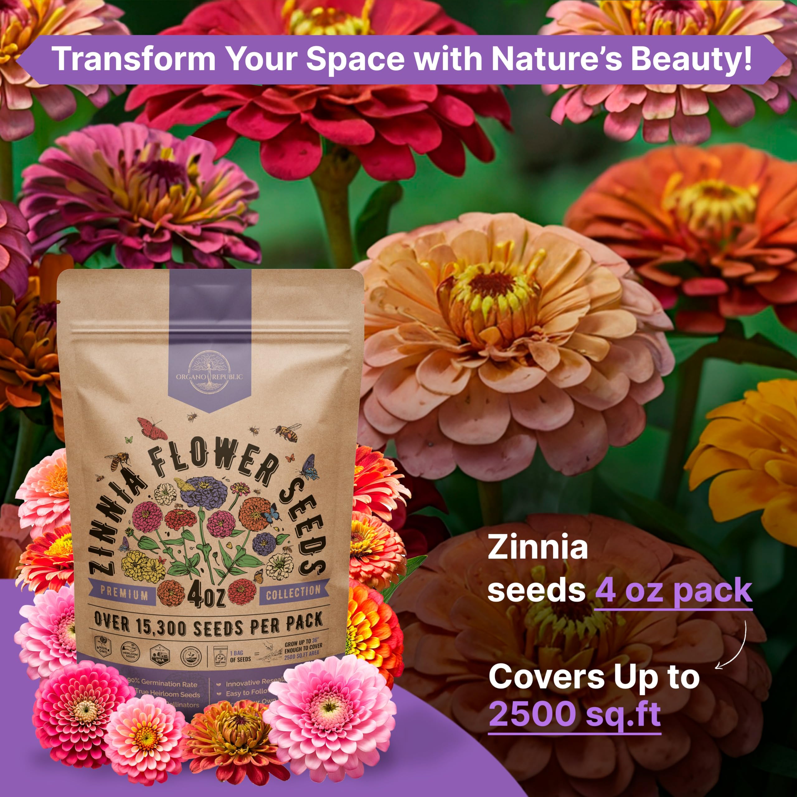 Organo Republic brotes de zinnia en germinación mostrando alta tasa de éxito