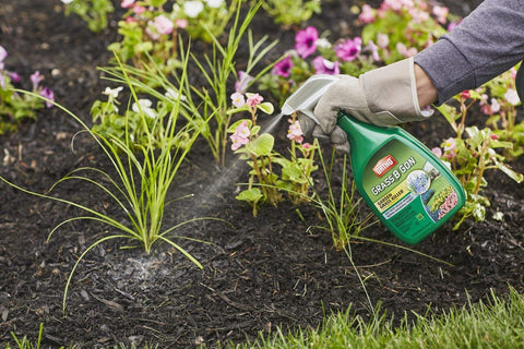 Ortho Grass B Gon comparado en tamaño para visualizar volumen de 24 oz