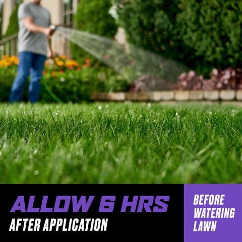 Ortho césped horas después mostrando reducción visible de malezas