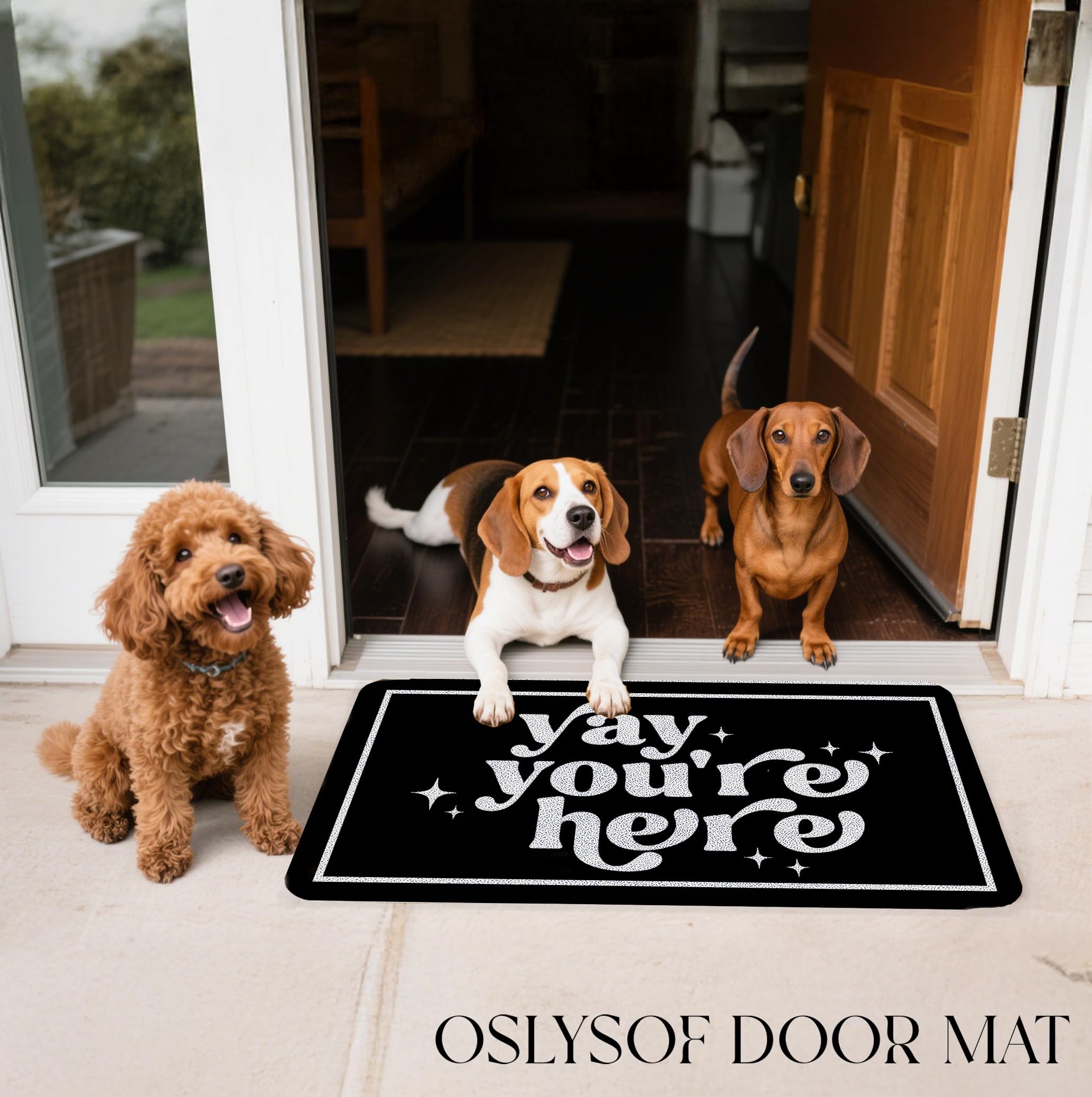 OSLYSOF comparación de tamaño junto a una puerta para referencia