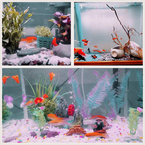 OUPENG piedras en acuario limpio, lucen bien y decoran el fondo