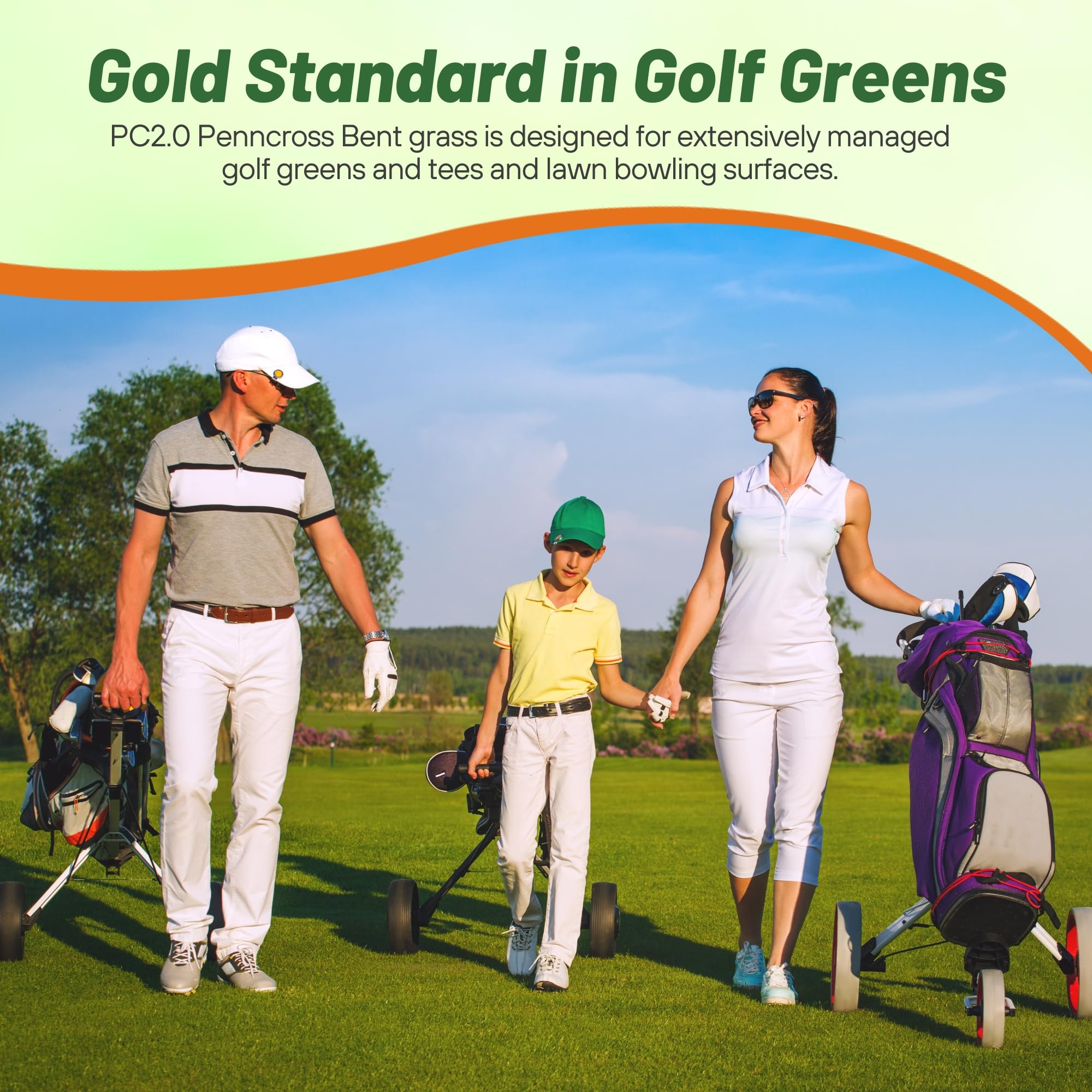 Hojas finas de bentgrass Outsidepride con aspecto uniforme y rodadura suave