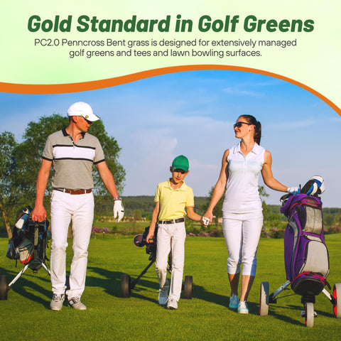 Hojas finas de bentgrass Outsidepride con aspecto uniforme y rodadura suave