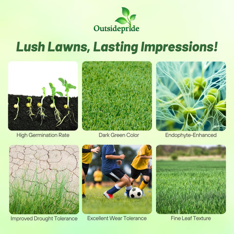 Outsidepride semillas recubiertas OptiGrowth en primer plano con uniforme germinación