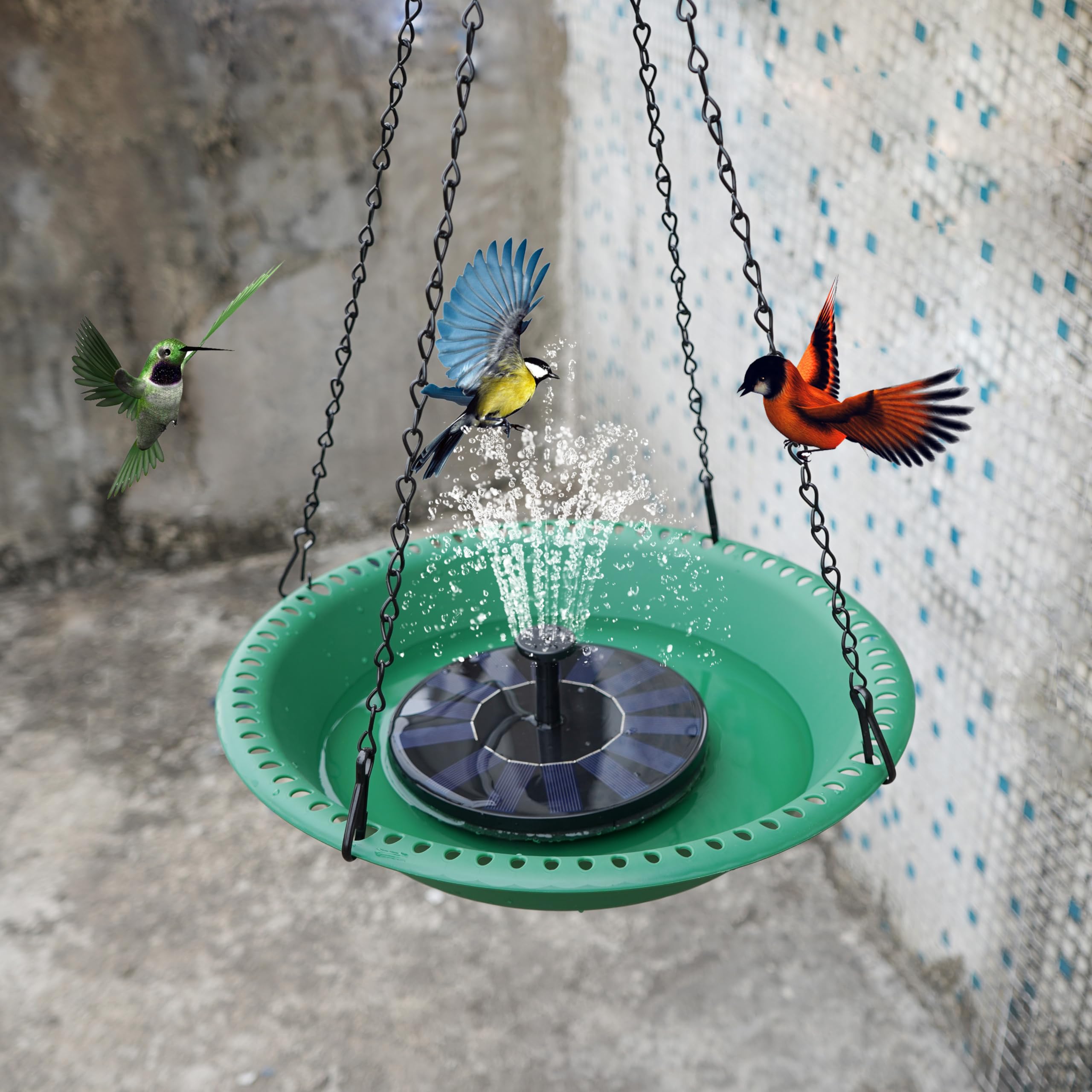 OVZILKI cuenco en uso con pájaros bebiendo y bañándose alegremente