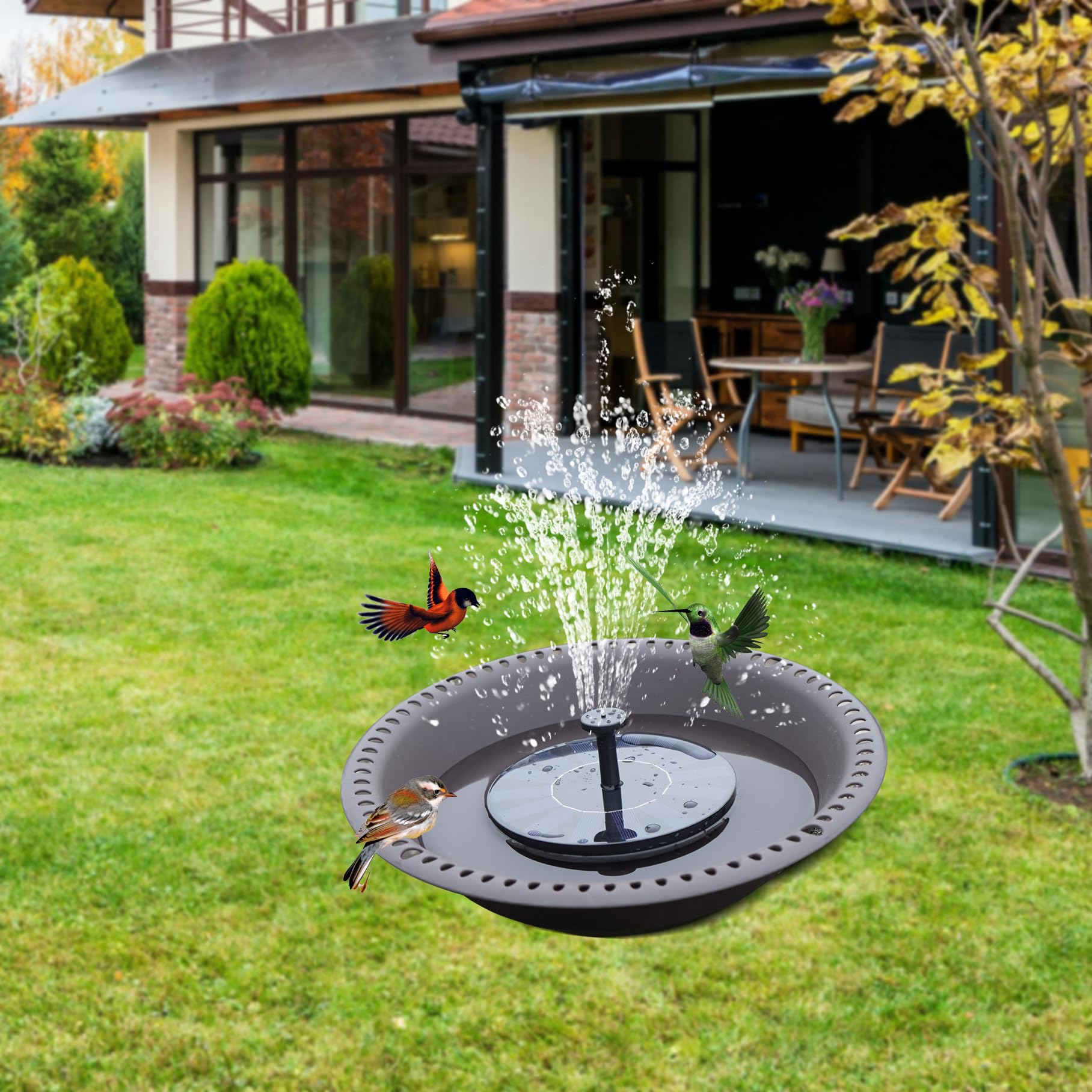 OVZILKI bañera en uso en jardín con aves, atrae fauna y aporta decoración